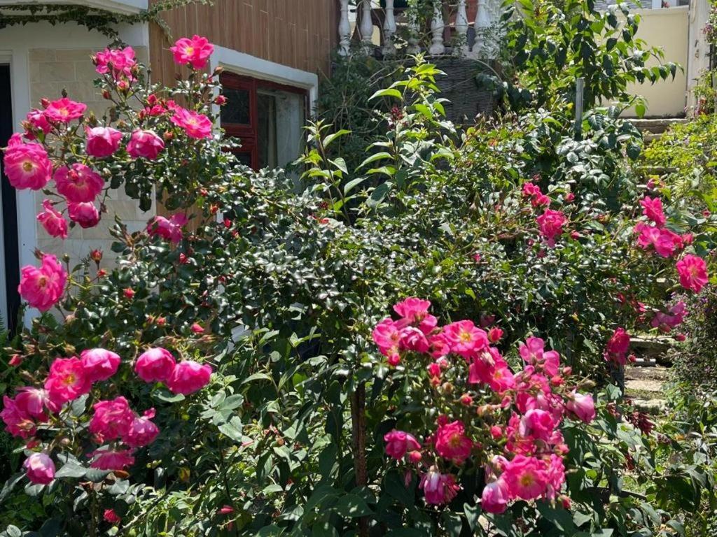 La Roza Dalat Boutique Hotel Esterno foto