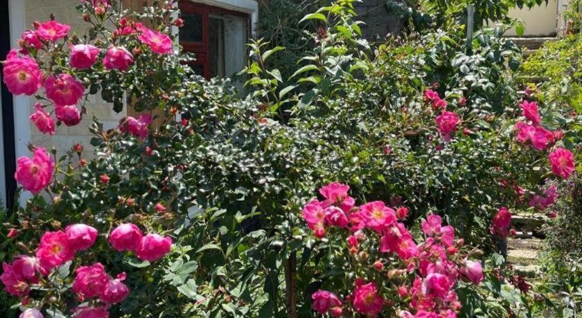 La Roza Dalat Boutique Hotel Esterno foto